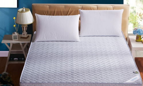 蘇軒家居布藝 產(chǎn)品與店鋪裝修的視覺美學(xué)融合